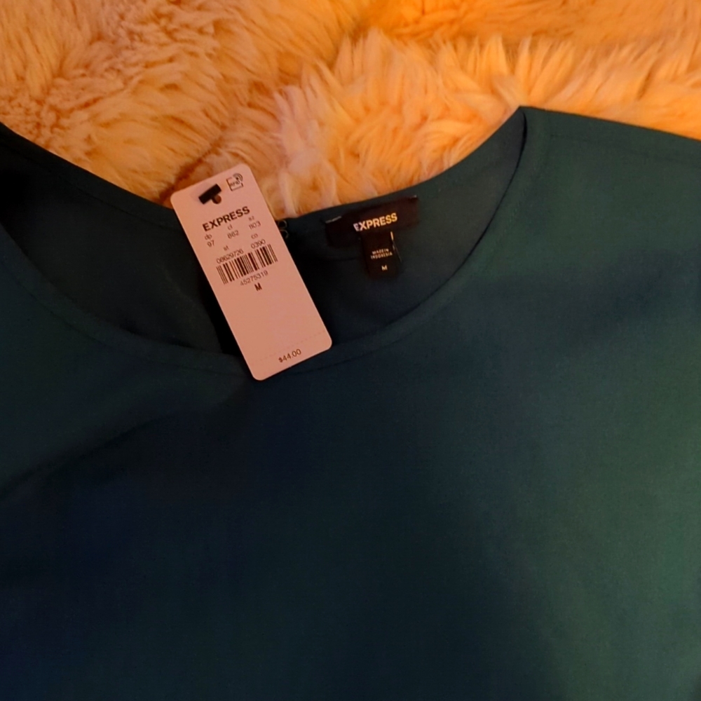 🥳NWT🥳 EXPRESS HUNTER GREEN & MAGENTA CAP SLEEVE (M) SILK SHIRT